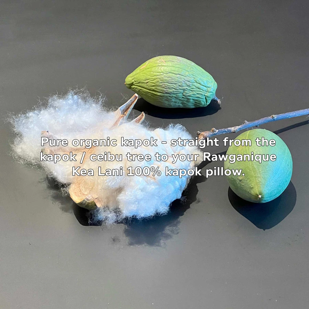 Rawganique Organic 100% Kapok Fiber For Pillows, Toys, Cushion Stuffing (1-lb.) Bed 2 Rawganique Organic 100% Kapok Fiber For Pillows, Toys, Cushion Stuffing (1-lb.) Bed