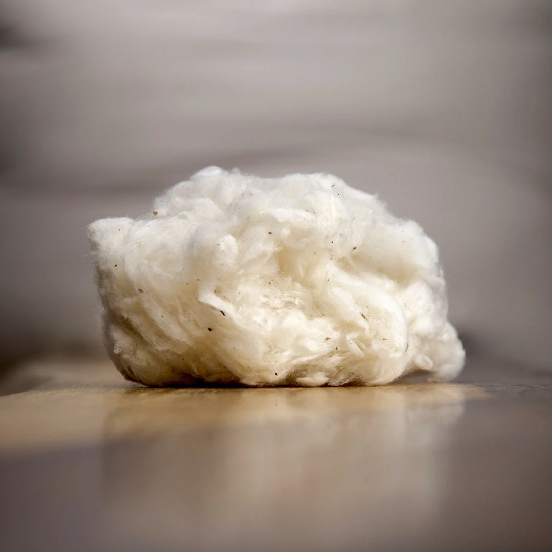 Vendor-unknown SOUTH CAROLINA 100% Organic Cotton Bed Pillow (Made In USA) BedBath 6 Vendor-unknown SOUTH CAROLINA 100% Organic Cotton Bed Pillow (Made In USA) BedBath