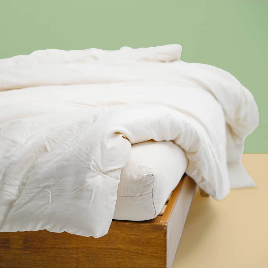 Vendor-unknown BedBath VIRGINIA 100% Organic Wool Comforter (Organic Cotton Casing) (Handmade In USA) 1 Vendor-unknown BedBath VIRGINIA 100% Organic Wool Comforter (Organic Cotton Casing) (Handmade In USA)