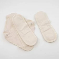 Vendor-unknown Briefs Organic Cotton Daytime Washable Menstrual Pad (Made In USA) (Latex-free)