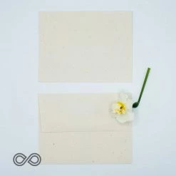 Vendor-unknown Tree-Free Hemp Envelopes