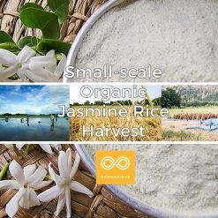 Vendor-unknown BedBath Organic Jasmine Rice Scrub Powder (150g)