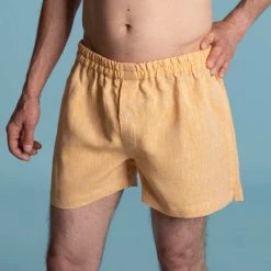 Vendor-unknown JOEY 100% Organic Hemp Boxer Shorts (Woven) (Nut Button, OC Thread) Men