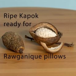 Vendor-unknown BedBath KEA LANI Vegan 100% Wild Kapok Bed Pillow (Made In USA)