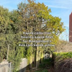 Vendor-unknown BedBath KEA LANI Vegan 100% Wild Kapok Bed Pillow (Made In USA)