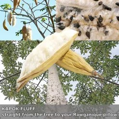 Vendor-unknown BedBath KEA LANI Vegan 100% Wild Kapok Bed Pillow (Made In USA)