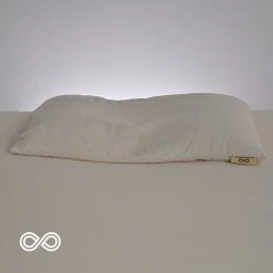 Vendor-unknown BedBath ILLINOIS 100% Organic Buckwheat Pillow (Vegan - Made In USA)