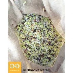 Vendor-unknown 100% Hemp Sprouting Bag - Nut Milk Bag Kitchen