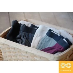 Vendor-unknown Men Low-Rise Organic Cotton Sports Boxer Briefs